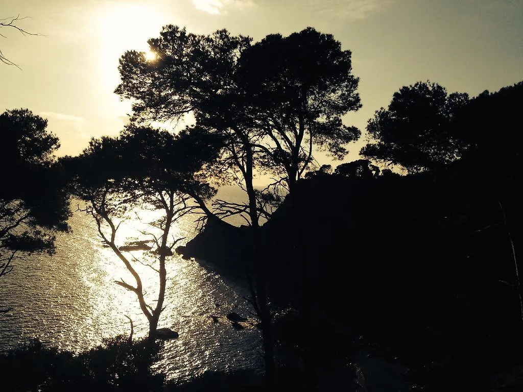 Les Lones Apartment Six-Fours-les-Plages